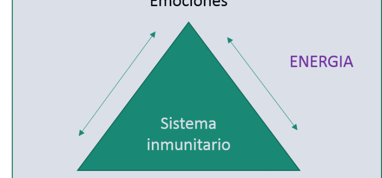 Patógeno (bacterias tal como el Pylori) en el sistema digestivo