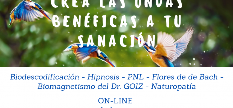 TERAPIA ON-LINE